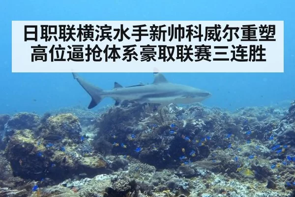 日职联横滨水手新帅科威尔重塑高位逼抢体系豪取联赛三连胜