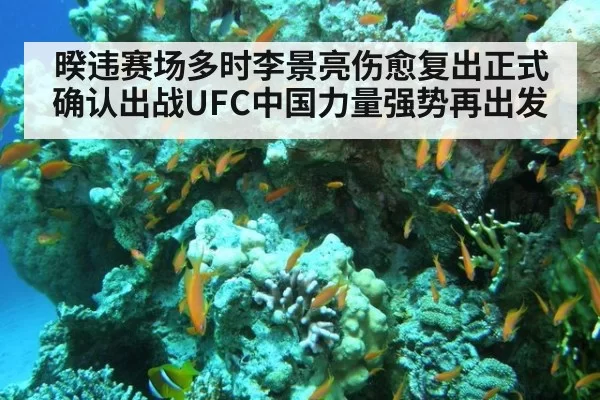 暌违赛场多时李景亮伤愈复出正式确认出战UFC中国力量强势再出发